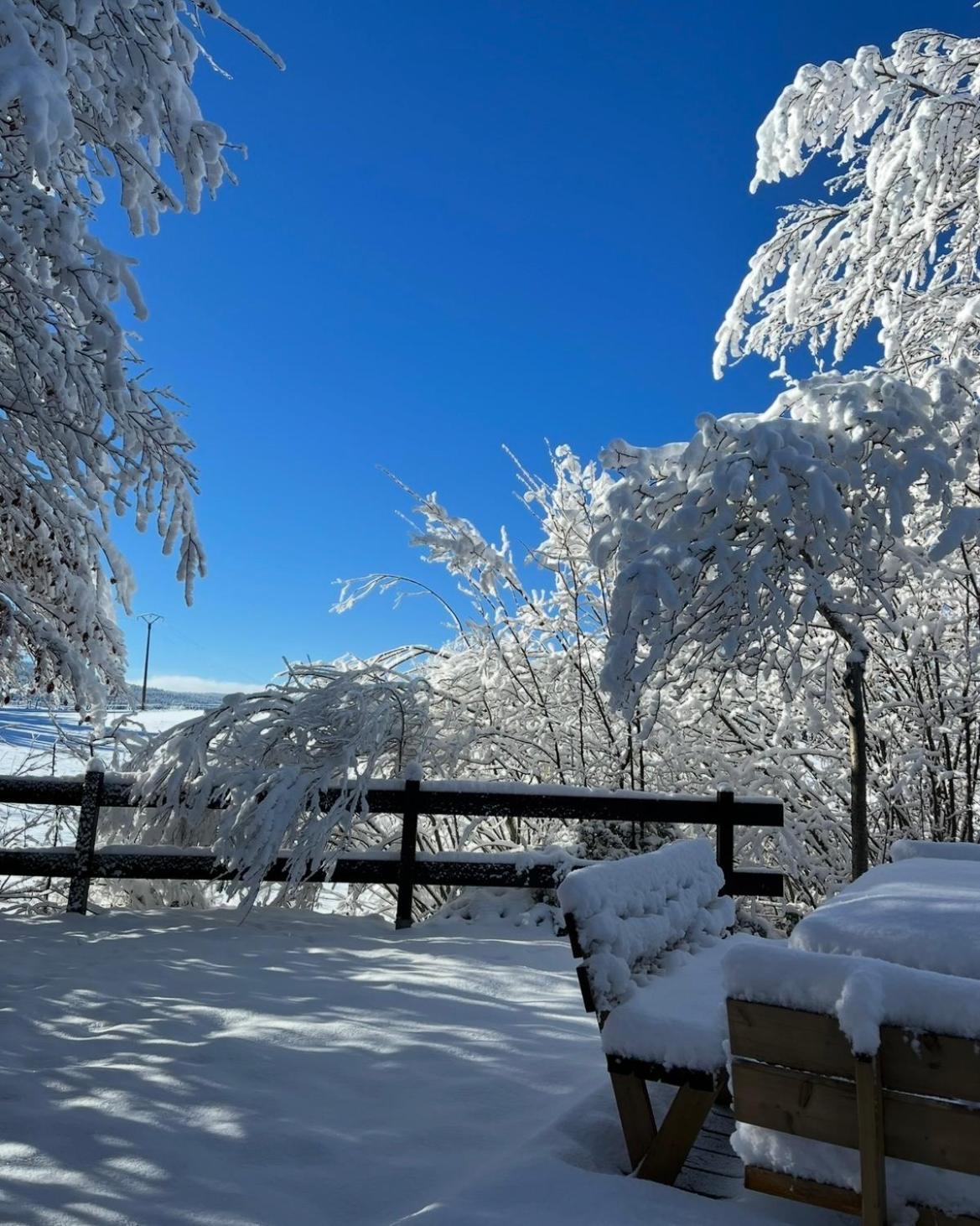 Métabief Chalet Cosy Entre Lacs Et Montagnes מראה חיצוני תמונה